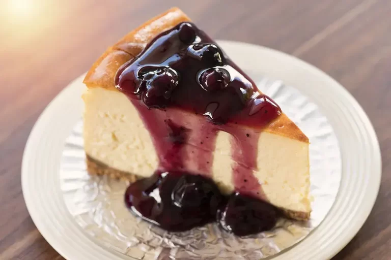 vecteezy_homemade-blueberry-new-york-cheesecake-on-a-white-plate_2221895