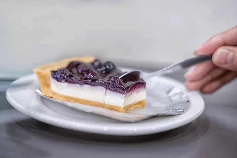 vecteezy_woman-hand-holding-spoon-eating-blueberry-cheesecake_2569292